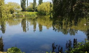 Gloucester Park- click for photo gallery